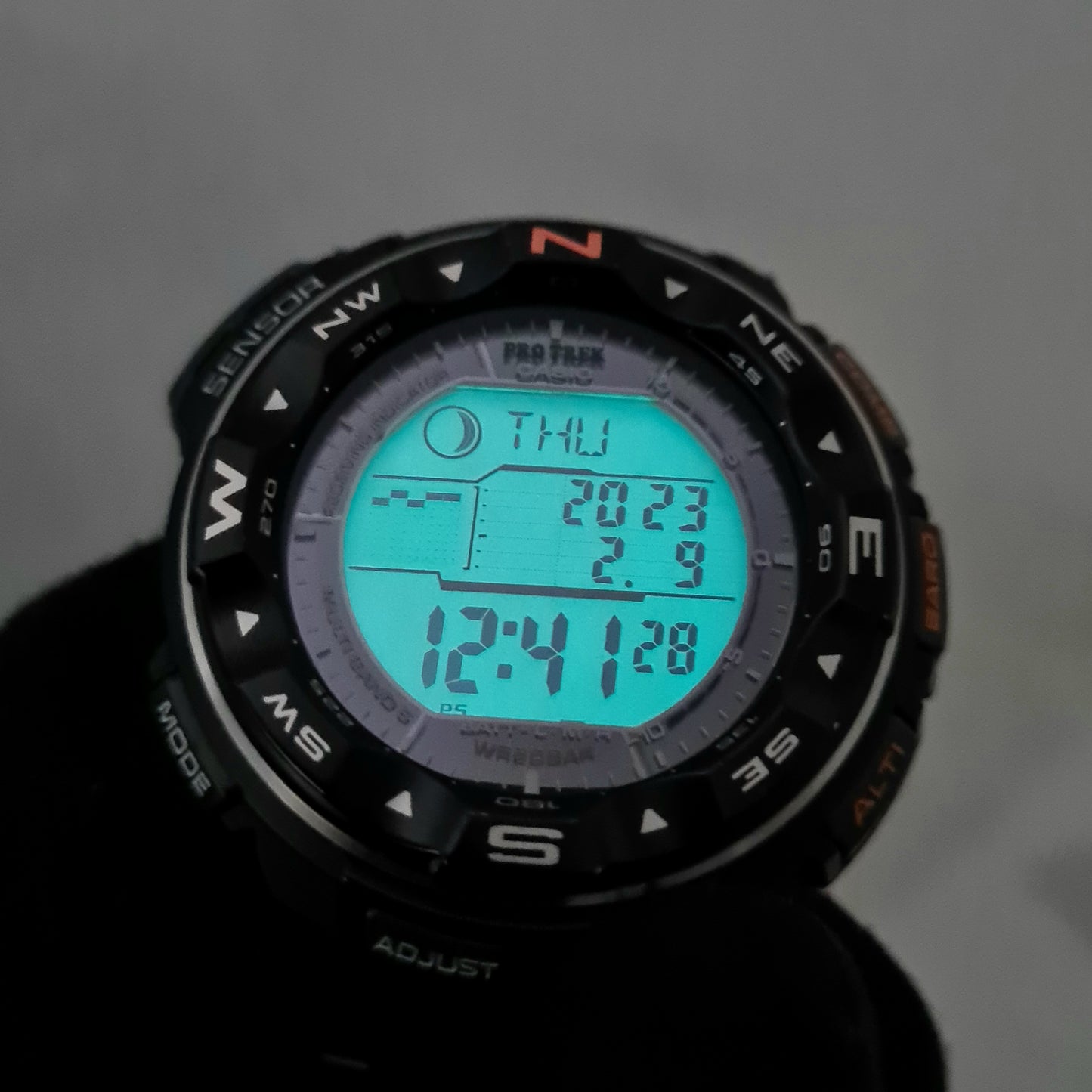 Casio Pro Trek