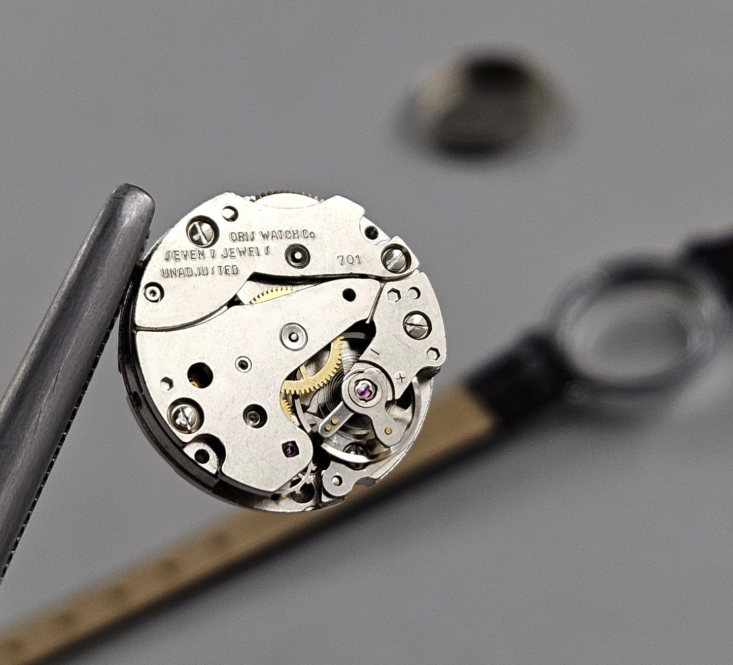 Oris Lady
