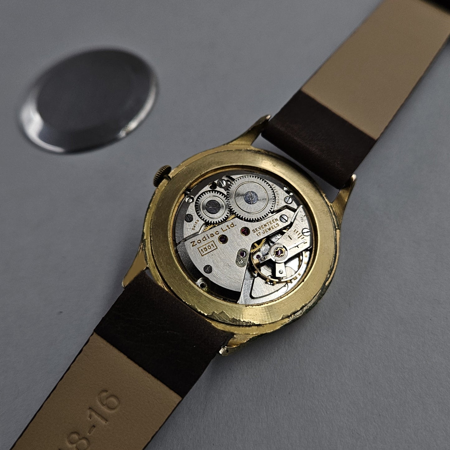 Zodiac Powergraphic 1501