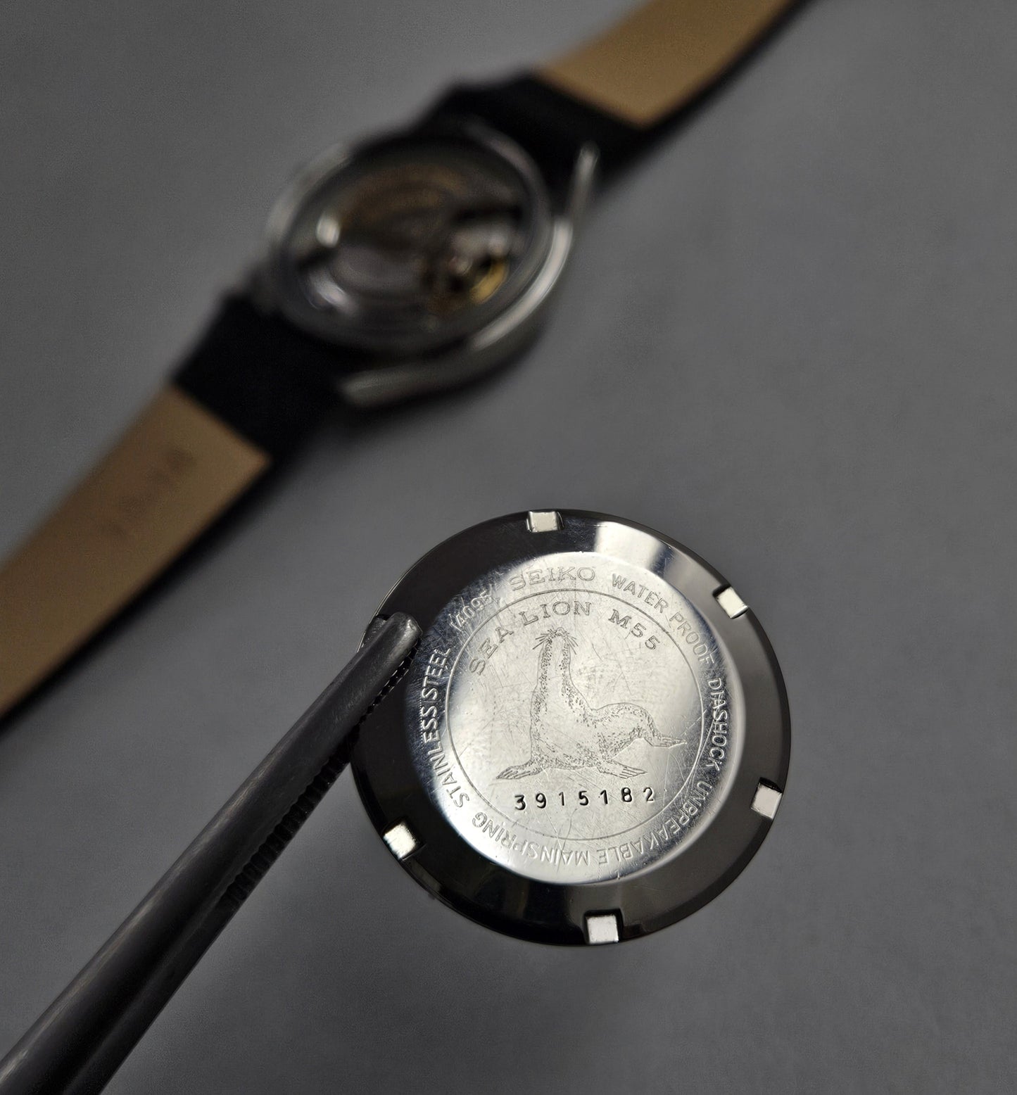 Seiko Sea Lion M55 14095