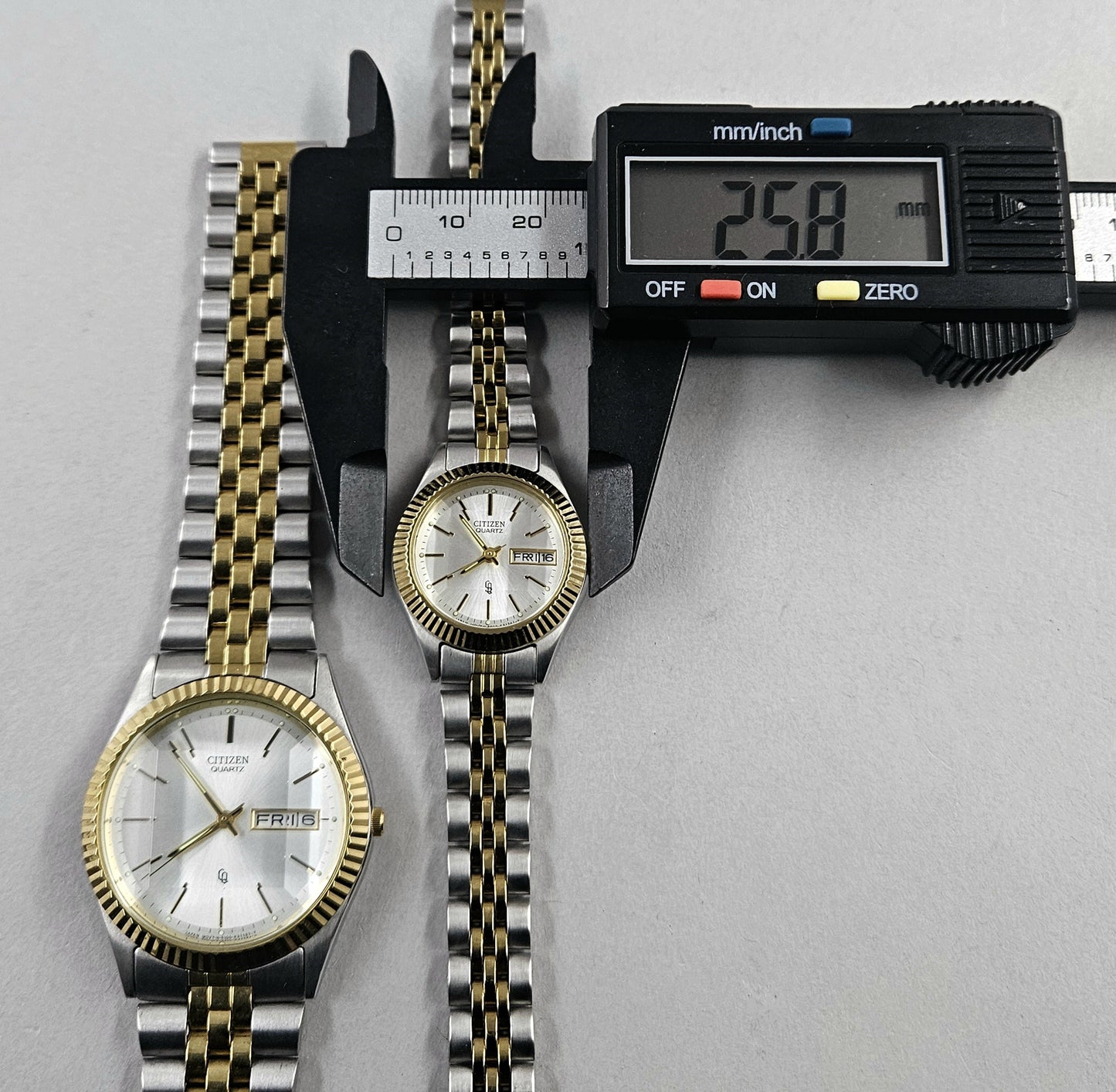 Citizen Pair Watch