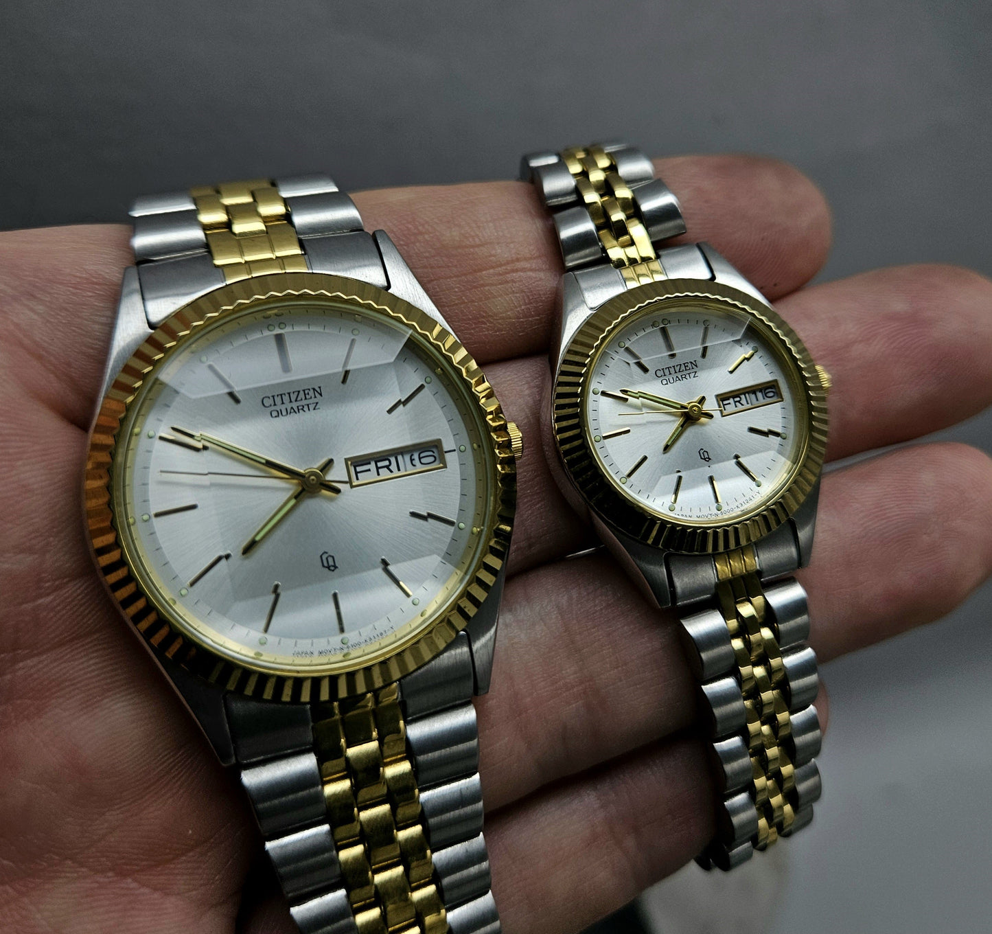 Citizen Pair Watch