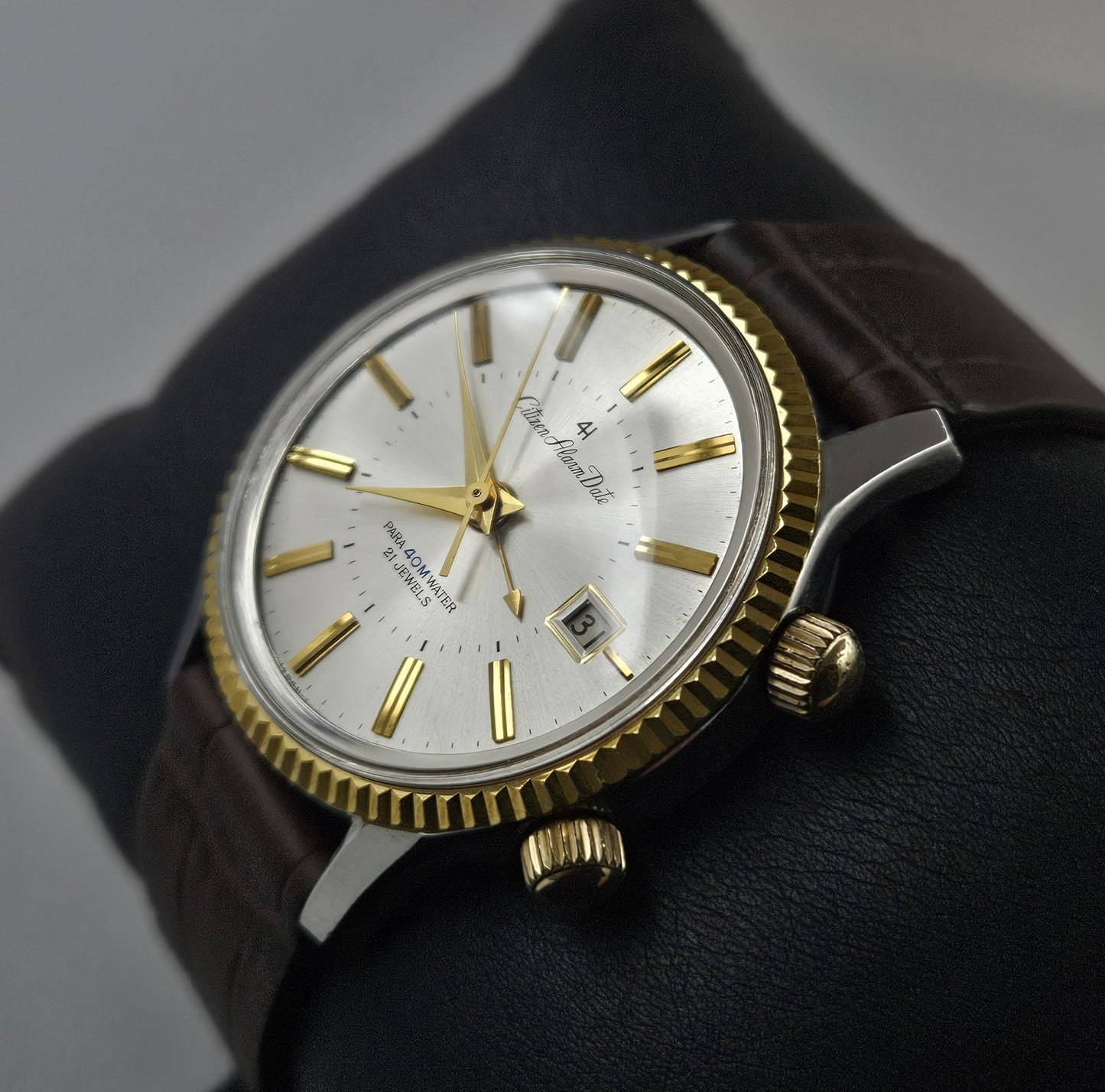 Citizen Alarm ALDS 51301a-Y
