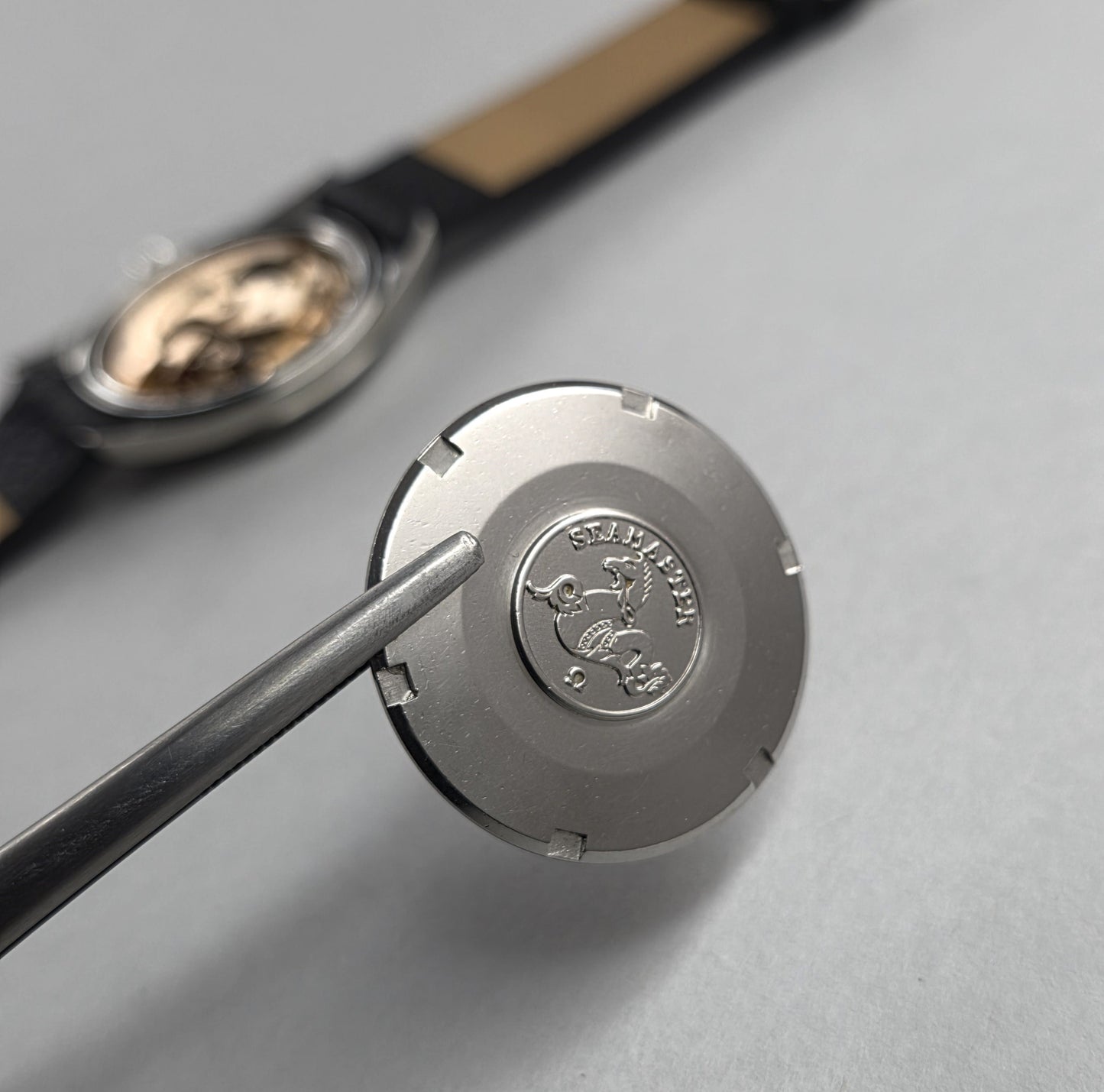 Omega Seamaster 166010-67SC