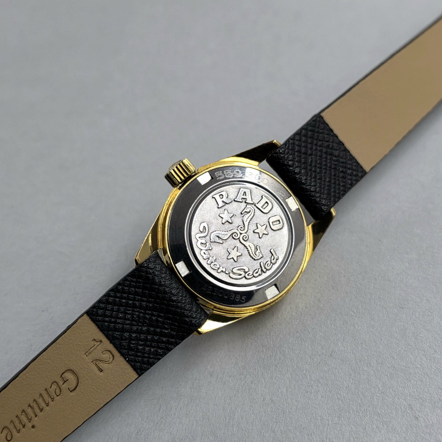 Rado Purple Horse Lady