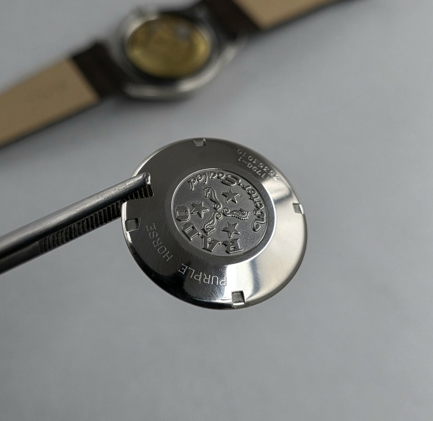 Rado Purple Horse 11794-1