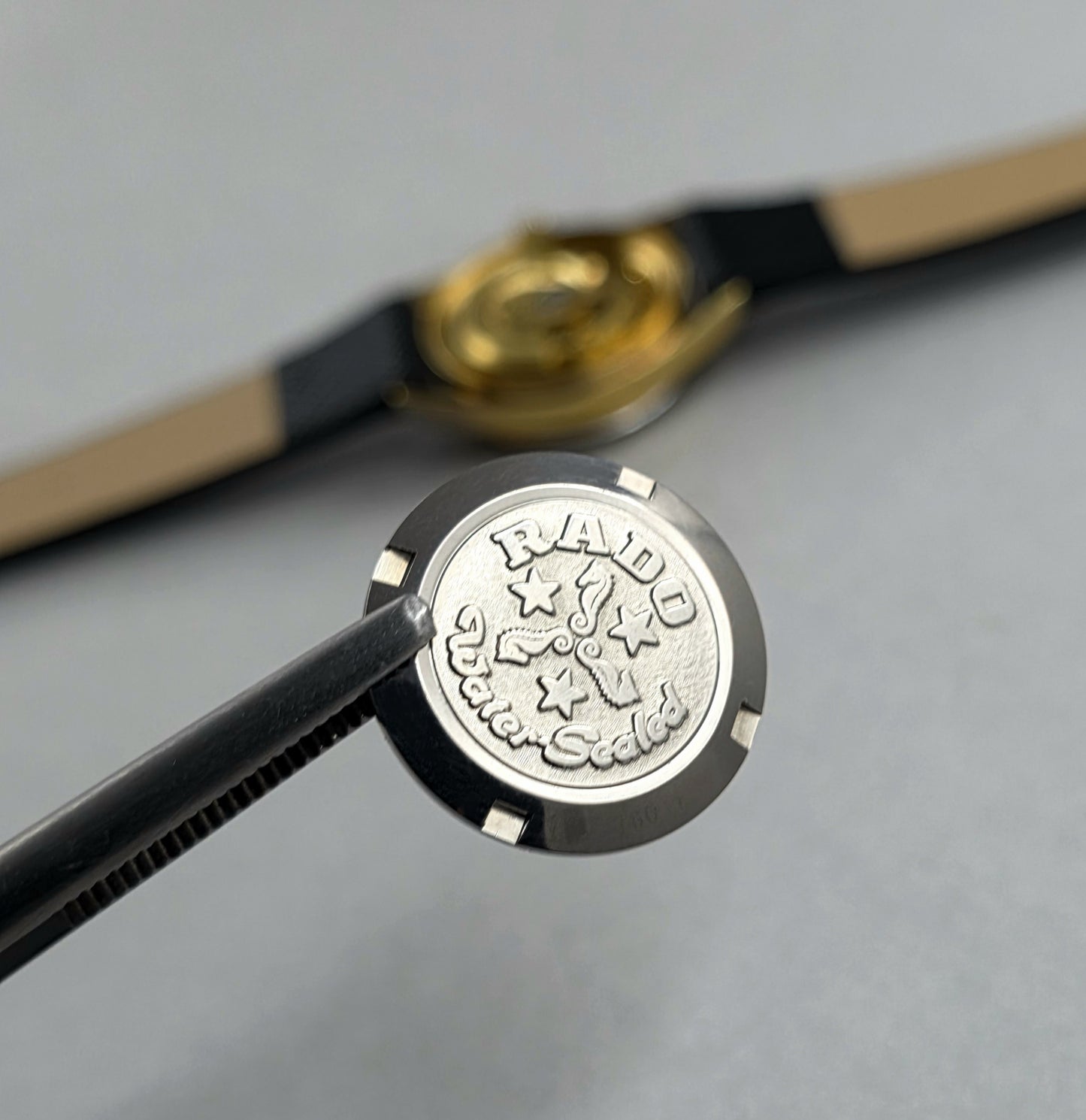 Rado Purple Horse Women