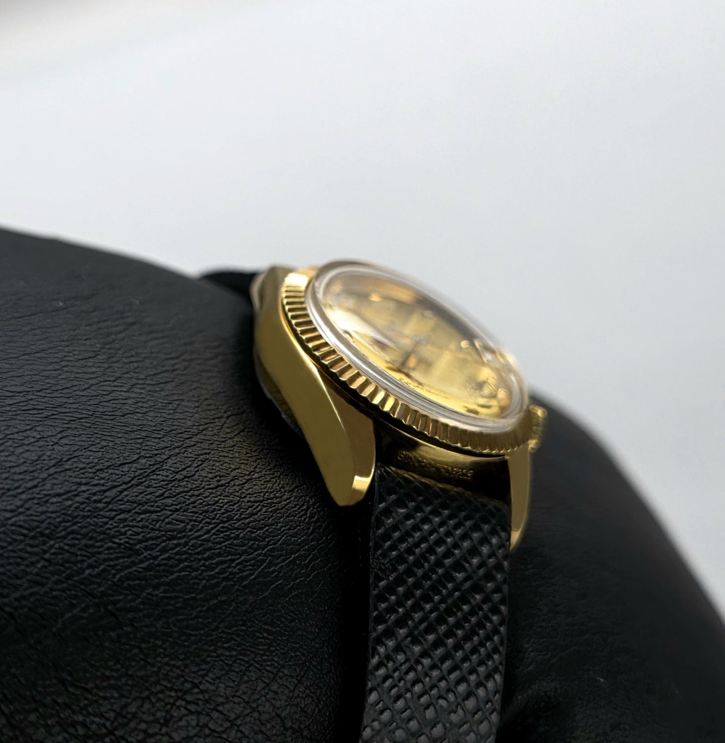 Rado Purple Horse Women