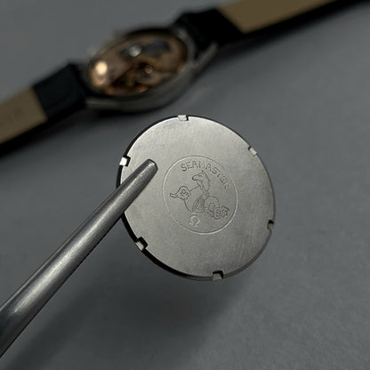 Omega Seamaster 600 135.012