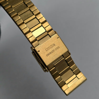 Citizen Sharex Ref. 3630-361865 TA