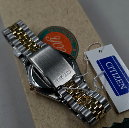 Citizen CQ Quartz HQS99-9971 SSG