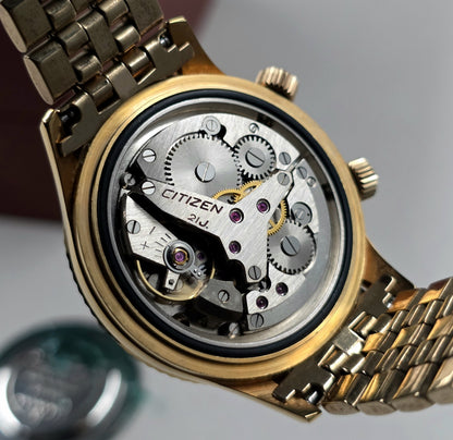 Citizen Alarm Date Ref. ALDG 51301A-Y
